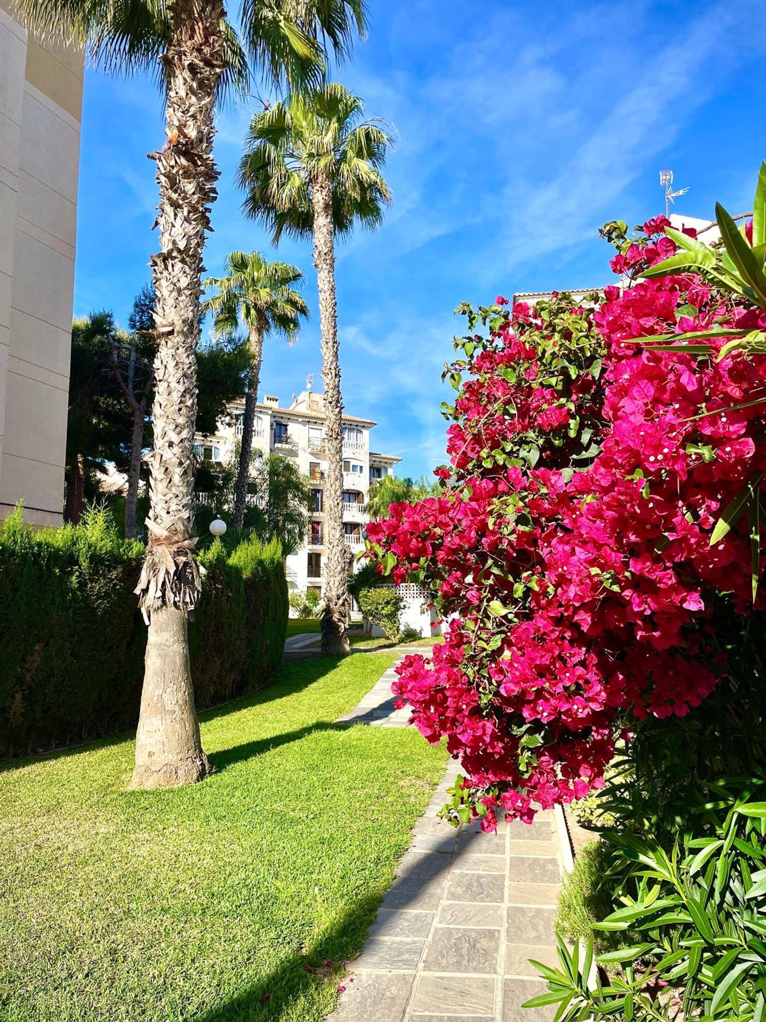 Calas Blancas Torrevieja Eksteriør billede